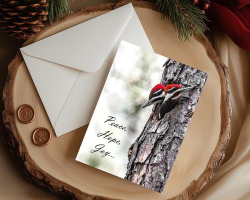 Nature Photography Christmas Cards