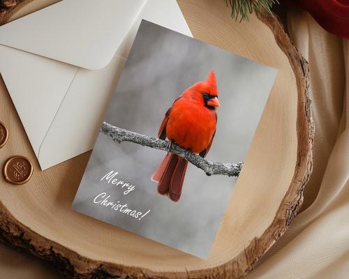 Handmade Nature Theme Christmas Cards