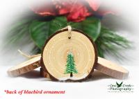 Eastern Bluebird Hand-Painted Wood Slice Ornament