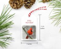 Feliz Navidad gift tags with cardinal snow scene at Cove Creek Photography.