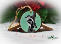 Hand-Painted Downy Woodpecker Christmas Ornament