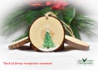 Hand-Painted Downy Woodpecker Christmas Ornament
