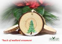A hand-painted evergreen tree on the back of a wood slice ornament at Cove Creek Photography.