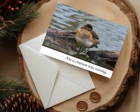 Nature photography of a sleeping duck on a log on a wildlife photography Christmas card at covecreekphotography.com.