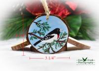 Hand-Painted Wood Slice Ornament - Rose-breasted Grosbeak