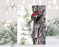 Pileated woodpecker nestlings on handmade Christmas cards offered exclusively at Cove Creek Photography