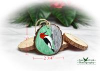 A hand-painted red-headed woodpecker wood slice ornament with measurements at Cove Creek Photography.