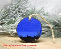 A silhouette of a duck on a pond that has been hand-painted on the back of a common loon ornament at Cove Creek Photography.