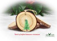 Hand-painted Christmas tree on the back of a hand-painted tufted titmouse wood slice ornament.