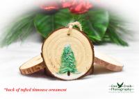 Hand-Painted Songbird Wood Slice Christmas Ornament