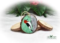 A wood slice ornament with a hand-painted tree and red-headed woodpecker at covecreekphotography.com.