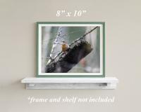 Framed nature theme giclee print wall art with a tiny bird perched on a tree stump in a green forest at covecreekphotography.com.