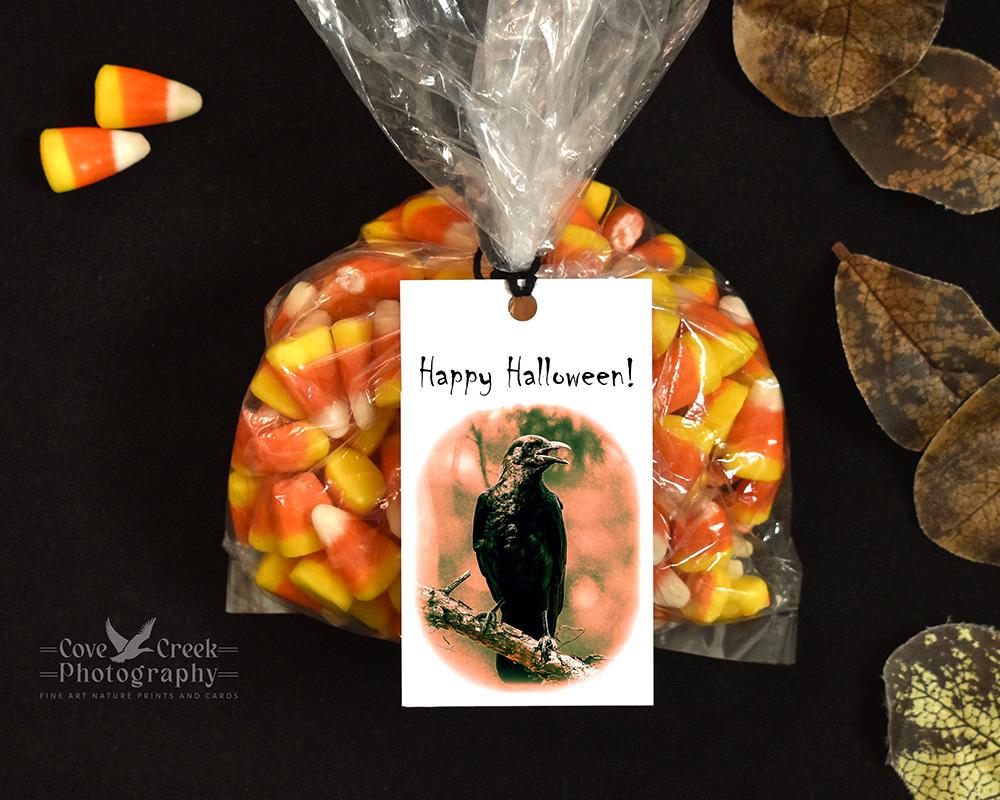 Happy Halloween American crow gift bag tags at Cove Creek Photography.