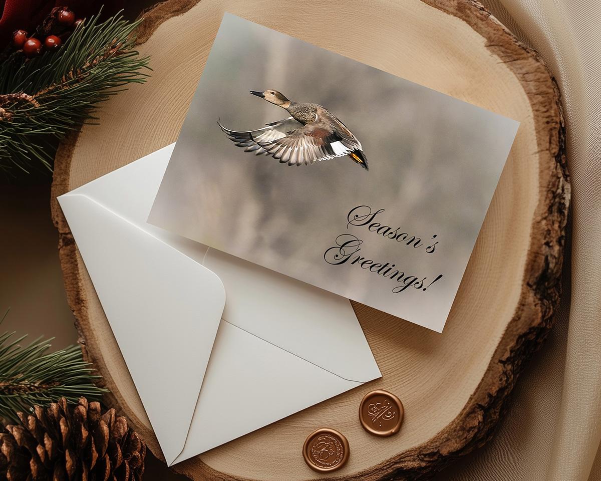 A handmade Christmas card with fine photography of a gadwall in flight with Season's Greetings at covecreekphotography.com.