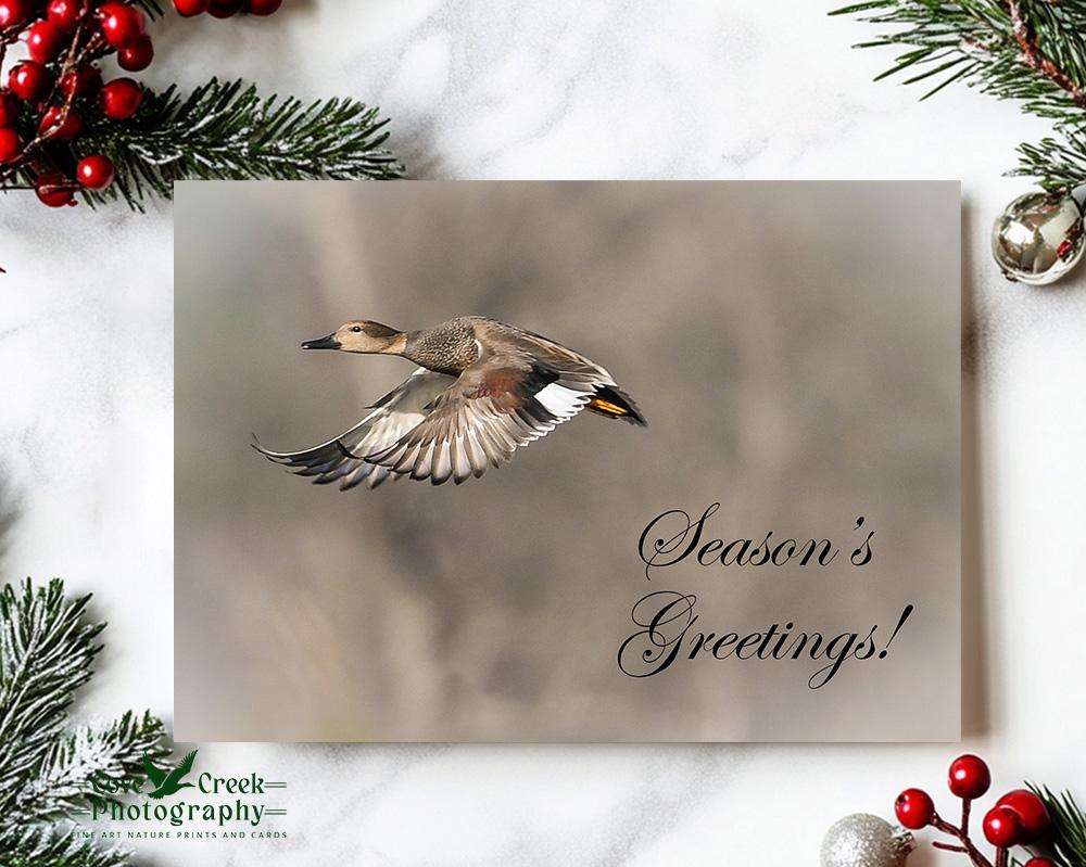 A handmade nature photography "Season's Greetings" Christmas card featuring a gadwall in flight available at covecreekphotography.com.