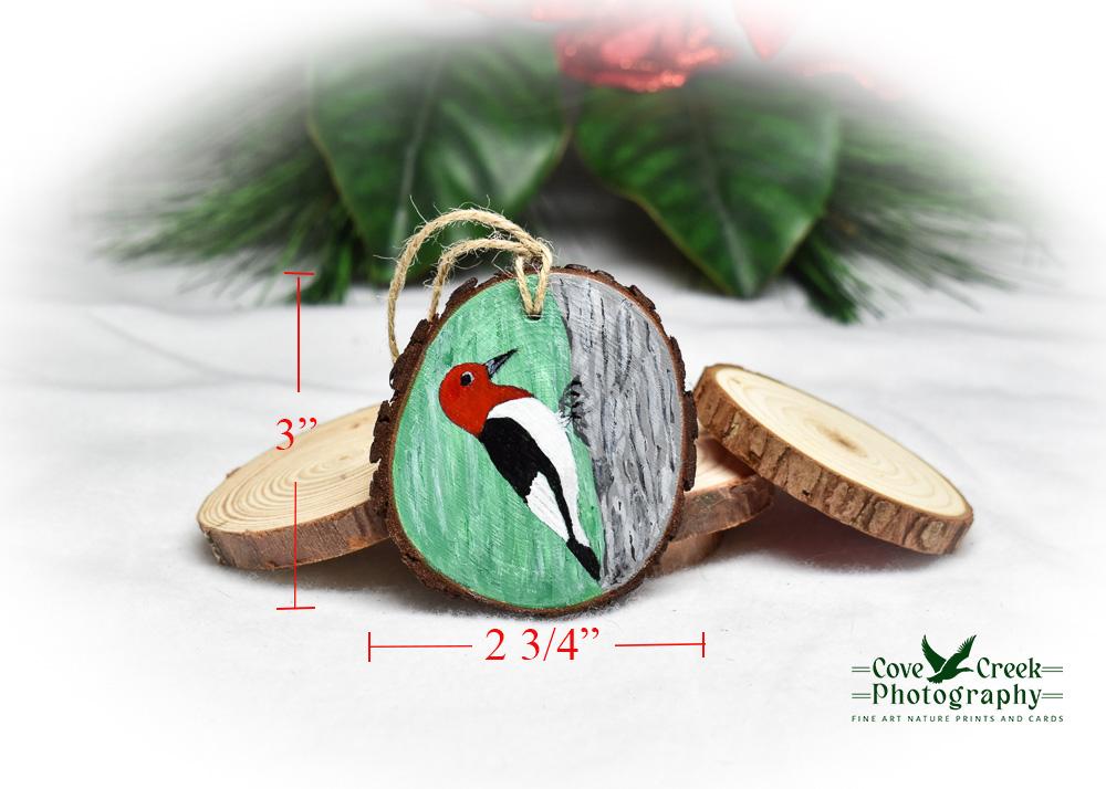 A hand-painted red-headed woodpecker wood slice ornament with measurements at Cove Creek Photography.