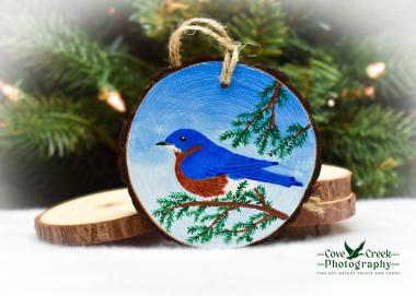 An eastern bluebird, the state bird of Missouri, is hand-painted on a wood slice ornament at Cove Creek Photography.