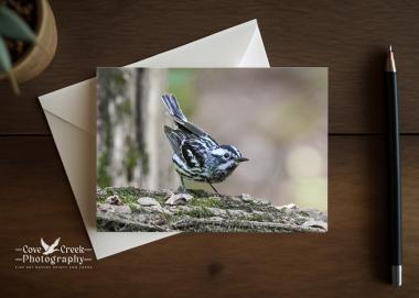 A nature photography any occasion card that can be personalized or purchased blank at covecreekphotography.com.