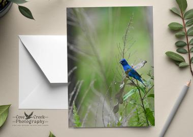 A fine photography any occasion card that has the options of personalization or purchase blank at Cove Creek Photography.