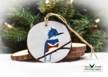 A handmade wood slice ornament with a female belted kingfisher available at www.covecreekphotography.com.