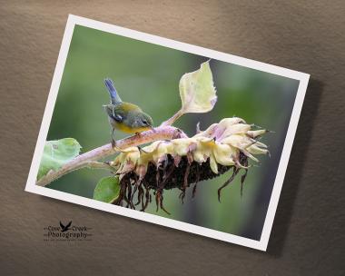 Garden wall art with a small bird on a sunflower at covecreekphotography.com.