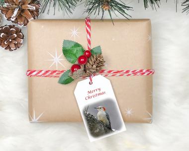Handmade Snow Scene Christmas Gift Tags  